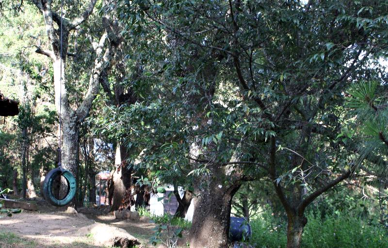 Cabaña del Tío Braulio