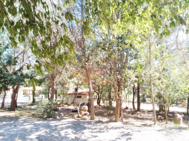 Cabaña del Tío Braulio