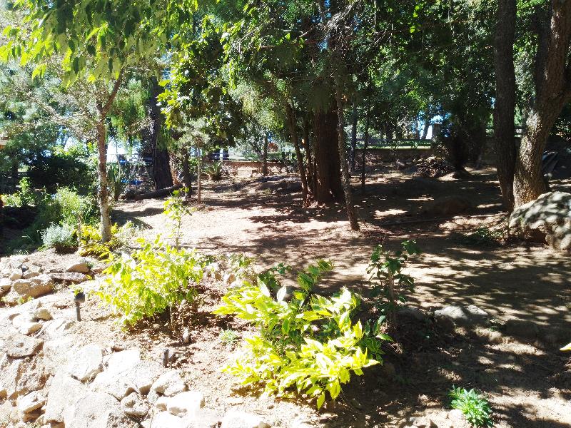 Cabaña del Tío Braulio